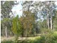 Lot 59 White Fox Rd, Broadwater NSW 2549