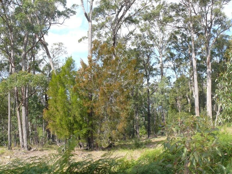 Lot 59 White Fox Rd, Broadwater NSW 2549