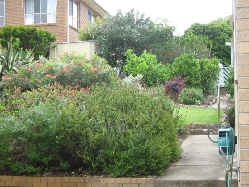 7 Tilba  Pl, Merimbula NSW 2548