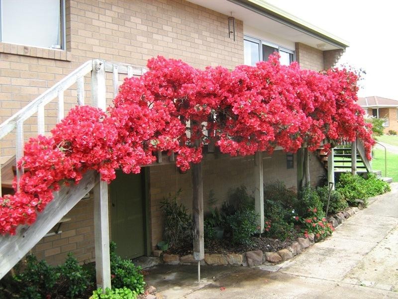 7 Tilba  Pl, Merimbula NSW 2548