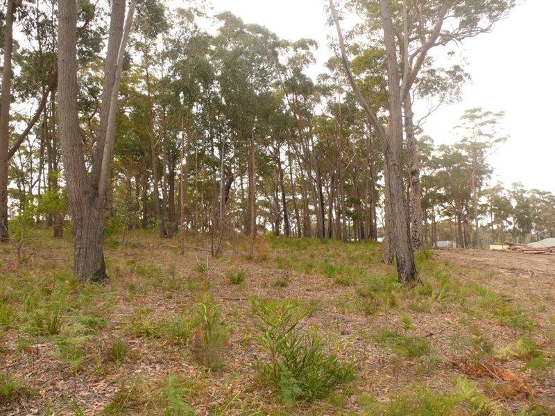 3 Wallaby  Way, Tura Beach NSW 2548