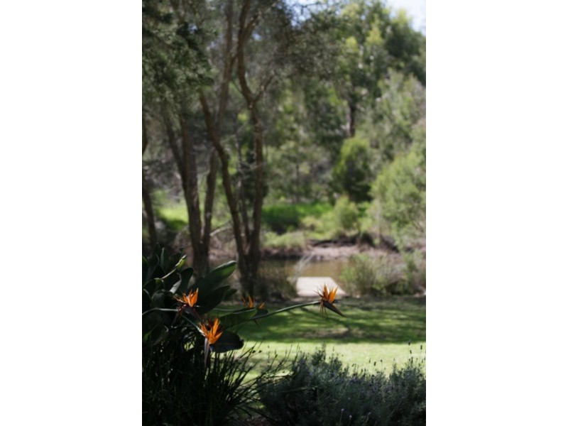 16 Garden  Cir, Merimbula NSW 2548