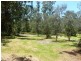 319 Millingandi Rd, Millingandi NSW 2549