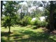 319 Millingandi Rd, Millingandi NSW 2549