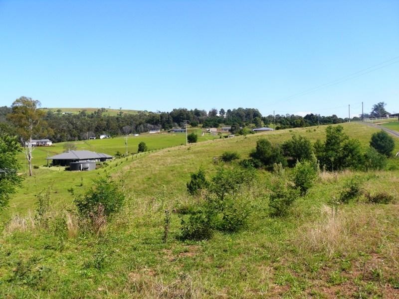 Lot 31 Belmont  Dr, Bald Hills NSW 2549