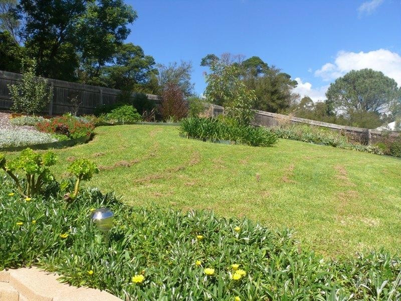 17 Bellbird Ct, Wolumla NSW 2550