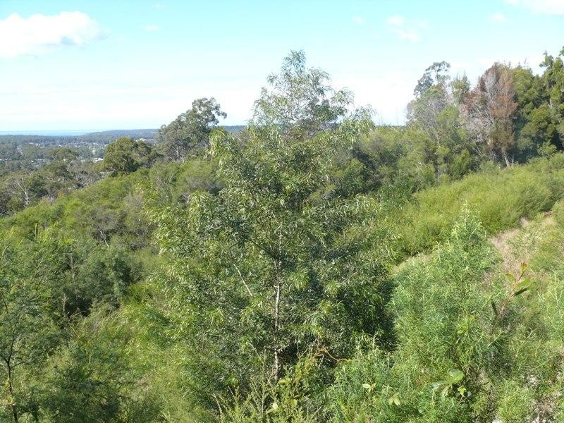 602-607 Mac Hill  Pl, Bald Hills NSW 2549