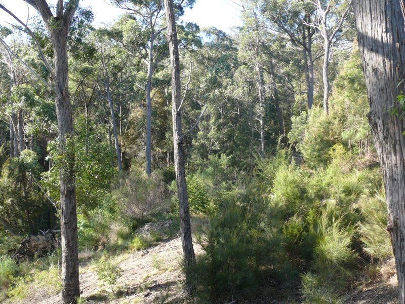 12 Trevally Tce, Merimbula NSW 2548