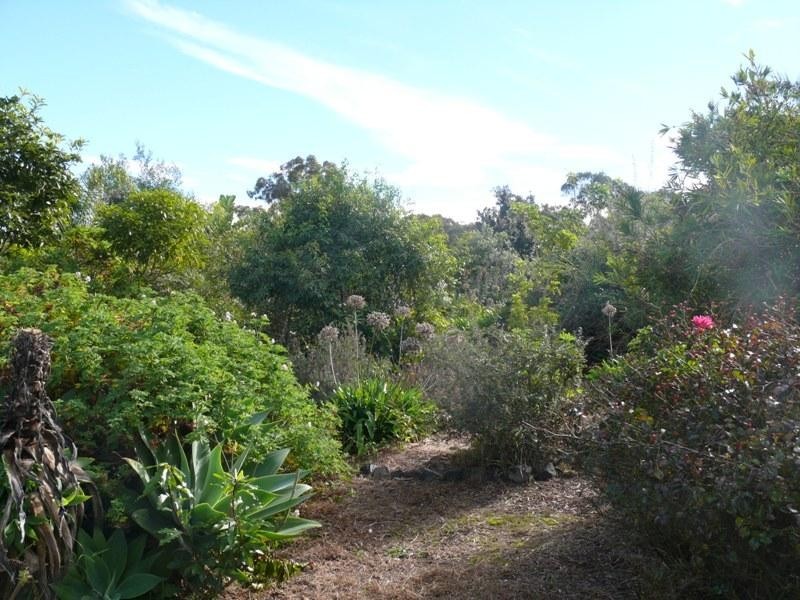 37 Imlay St, Merimbula NSW 2548