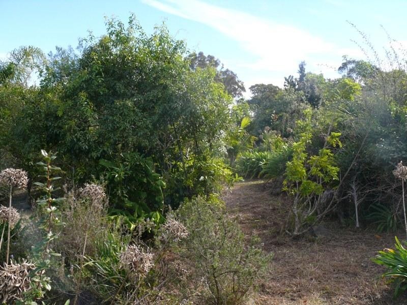 37 Imlay St, Merimbula NSW 2548