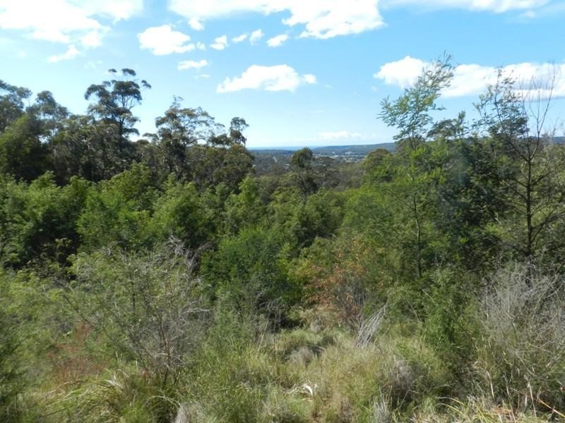 Lot 606 Mac Hill Pl, Bald Hills NSW 2549