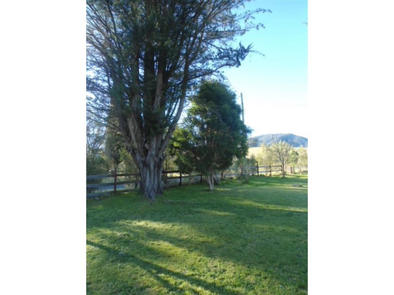 2794 Big Jack Mountain Rd, Rocky Hall NSW 2550