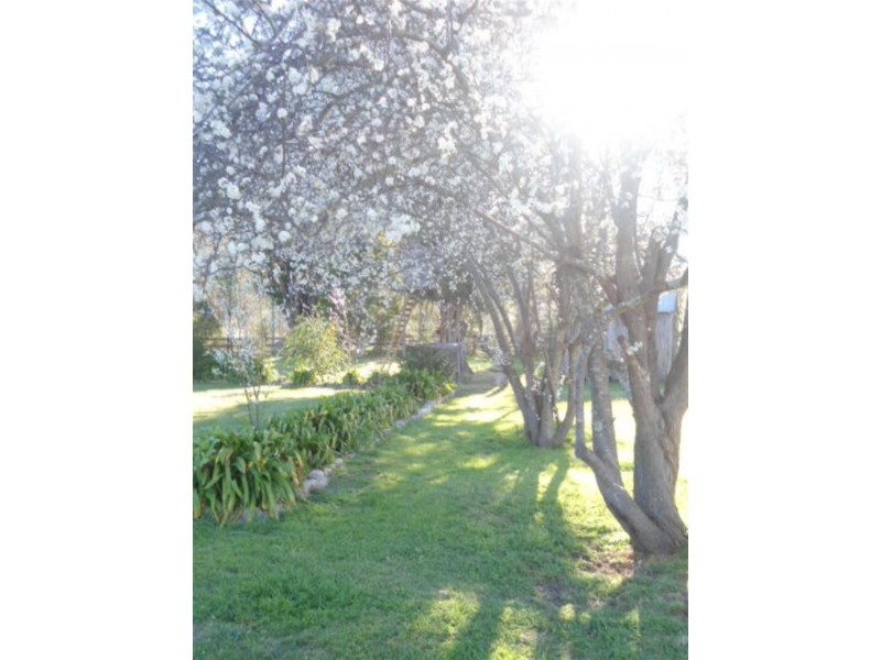 2794 Big Jack Mountain Rd, Rocky Hall NSW 2550