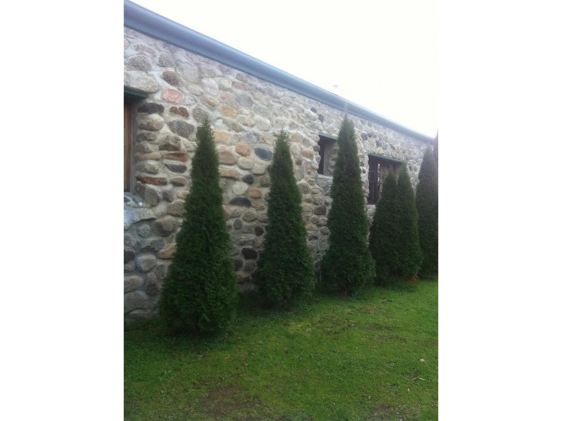 2794 Big Jack Mountain Rd, Rocky Hall NSW 2550