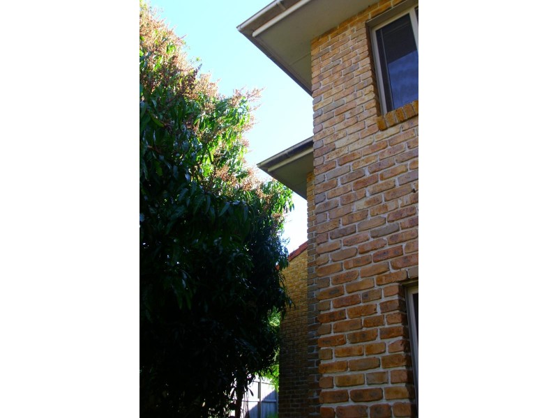 3/24 Whiting  Ave, Terrigal NSW 2260