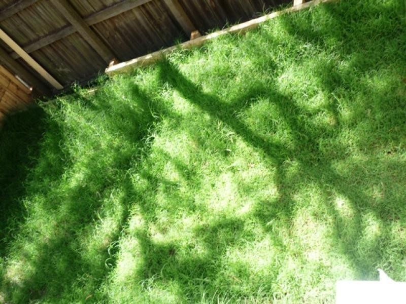 8/8 Cambridge  St, Carina Heights QLD 4152