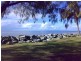 19 Reef Point Esp, Scarborough QLD 4020