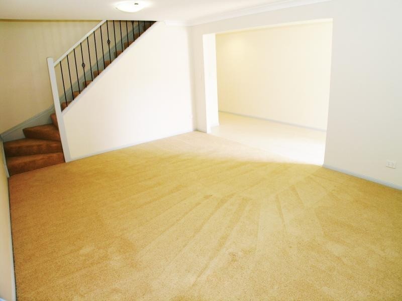 16 Estate Pl, Holland Park West QLD 4121