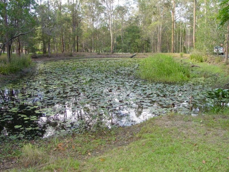 8 Brinawa St, Camp Hill QLD 4152