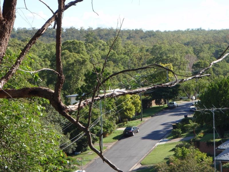 21 Cluden  St, Holland Park West QLD 4121