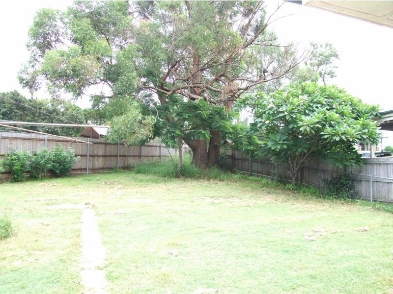 147 Sirius St, Coorparoo QLD 4151