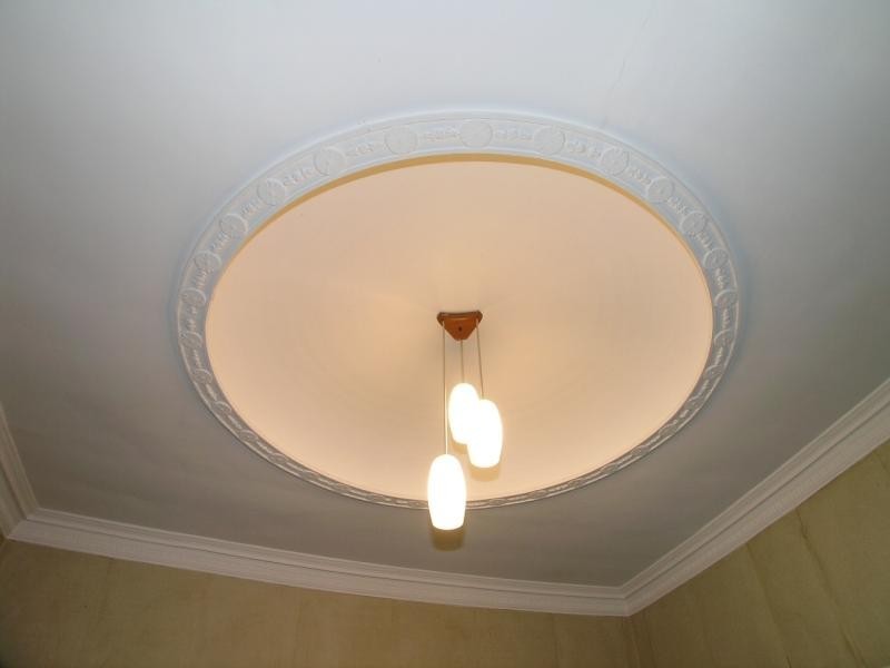 55 Holland Rd, Holland Park QLD 4121