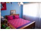 11 Castle Ct, Berkeley NSW 2506