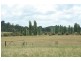 Bungonia NSW 2580