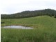 168 Stoney Creek Rd, Kuranda QLD 4881