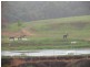 168 Stoney Creek Rd, Kuranda QLD 4881
