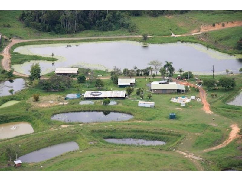 168 Stoney Creek Rd, Kuranda QLD 4881