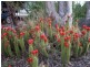 125 Grawin Opal Field 0, Walgett NSW 2832