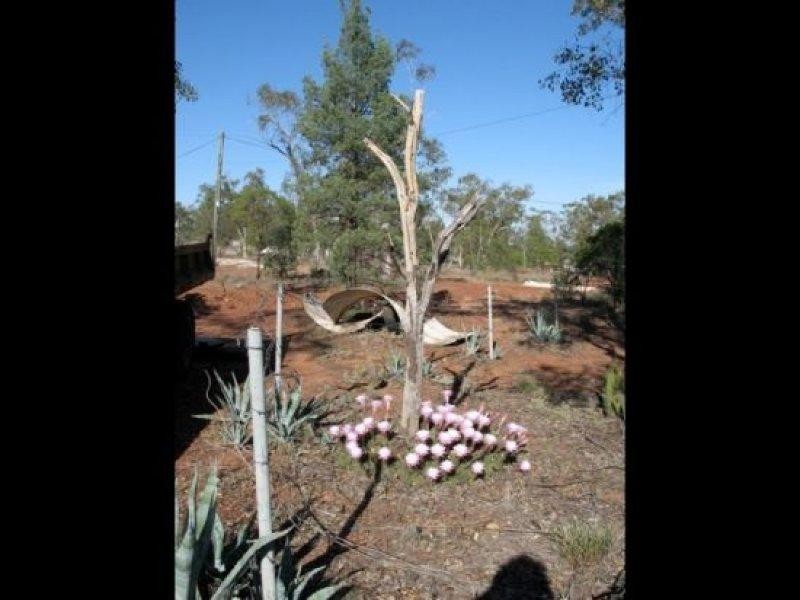 125 Grawin Opal Field 0, Walgett NSW 2832