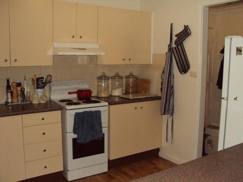 13 Carl Lane, Muswellbrook NSW 2333