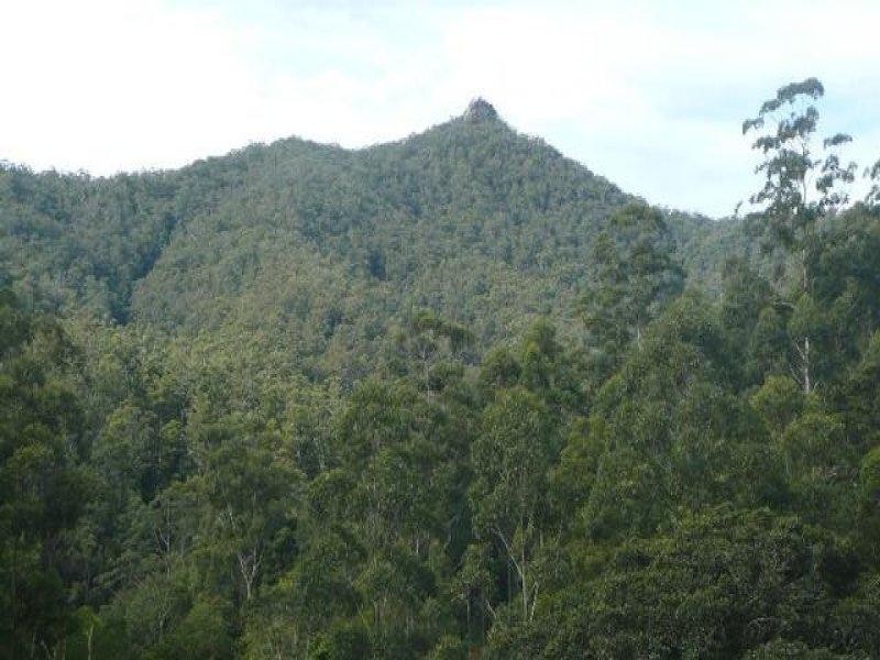 525 Bulli Creek Rd, Byabarra NSW 2446