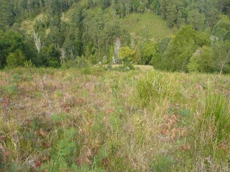 525 Bulli Creek Rd, Byabarra NSW 2446