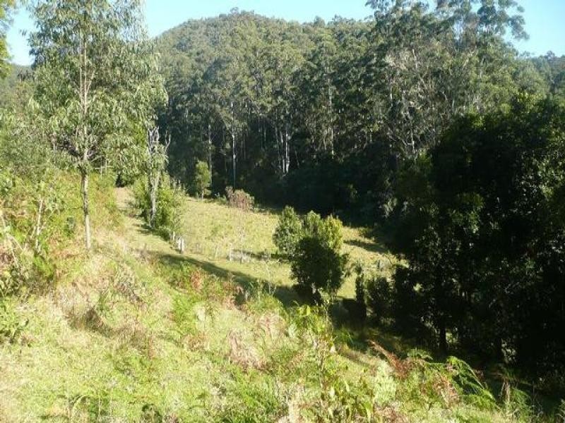 525 Bulli Creek Rd, Byabarra NSW 2446
