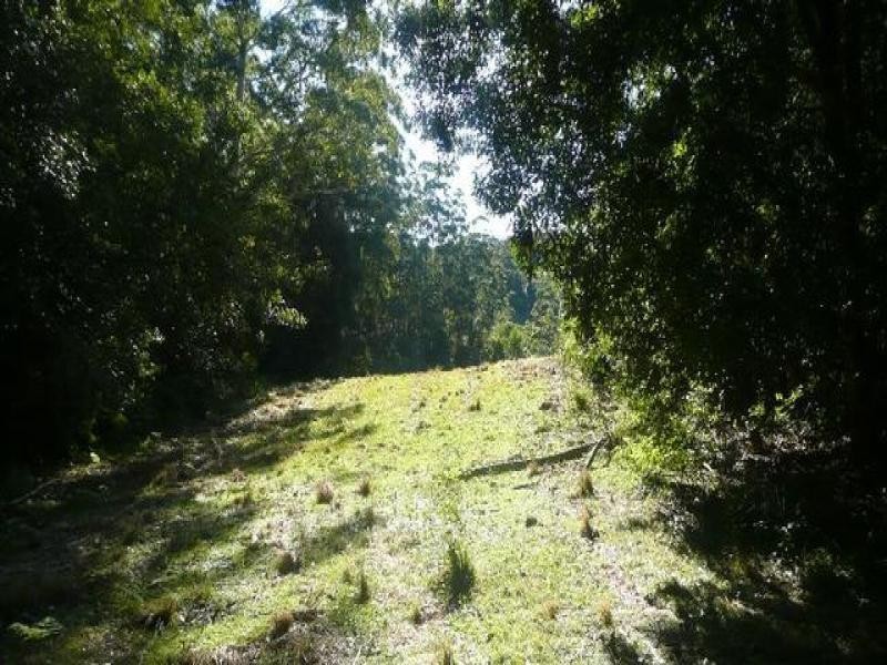 525 Bulli Creek Rd, Byabarra NSW 2446