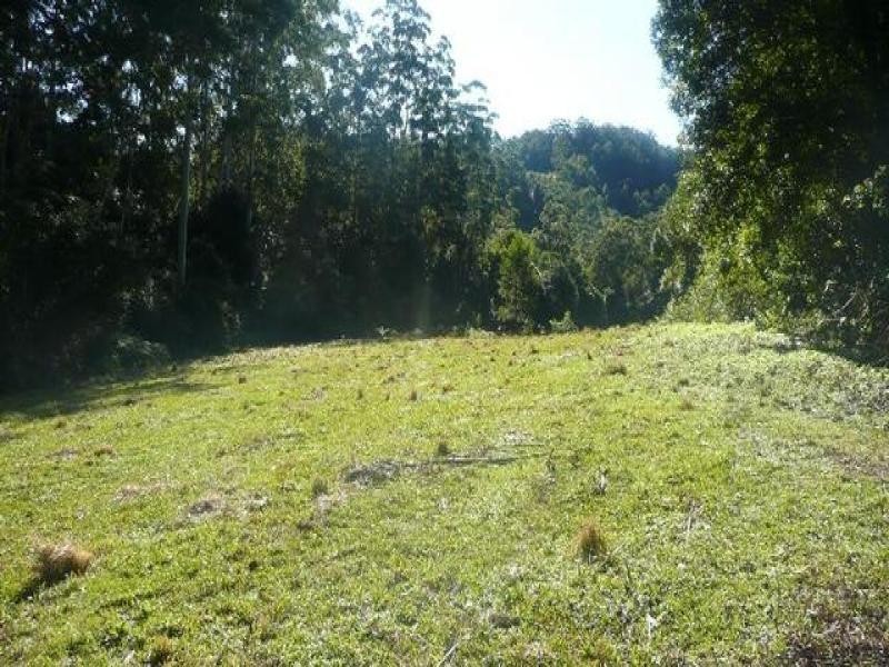 525 Bulli Creek Rd, Byabarra NSW 2446