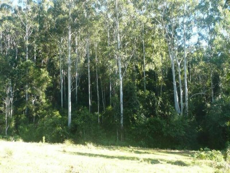 525 Bulli Creek Rd, Byabarra NSW 2446