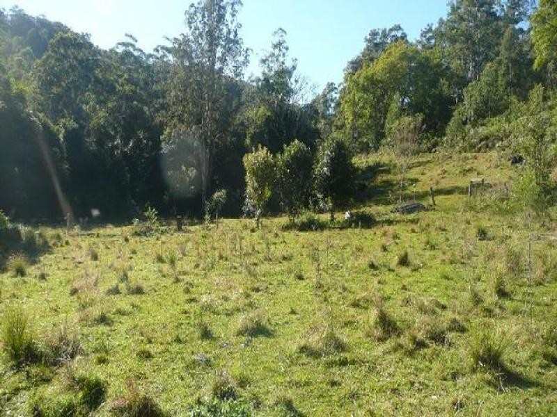 525 Bulli Creek Rd, Byabarra NSW 2446