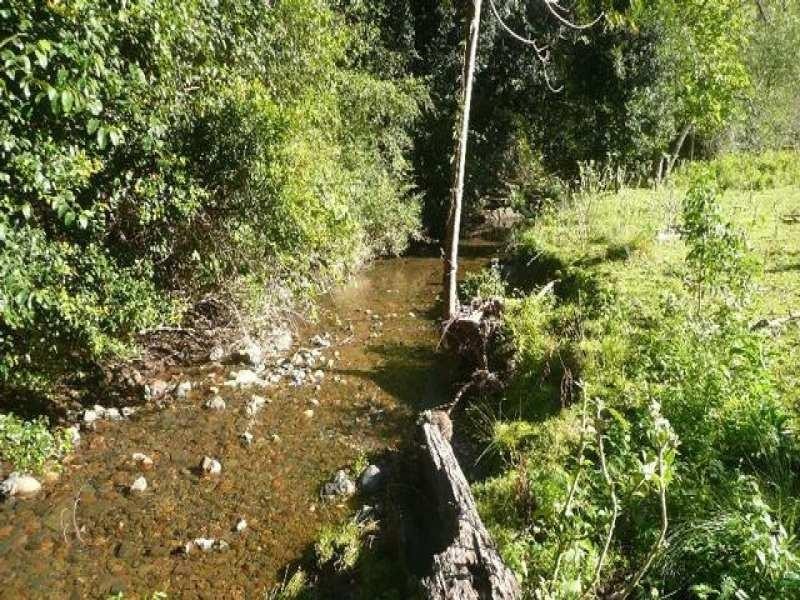 525 Bulli Creek Rd, Byabarra NSW 2446