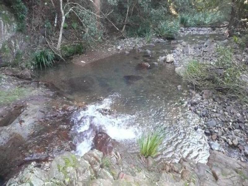 525 Bulli Creek Rd, Byabarra NSW 2446