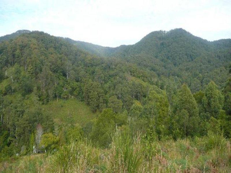 525 Bulli Creek Rd, Byabarra NSW 2446