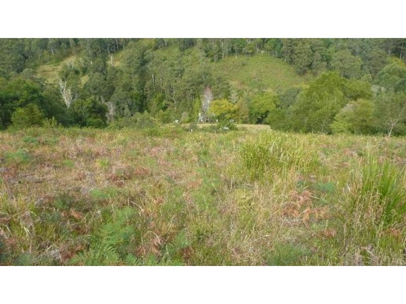 525 Bulli Creek Rd, Byabarra NSW 2446