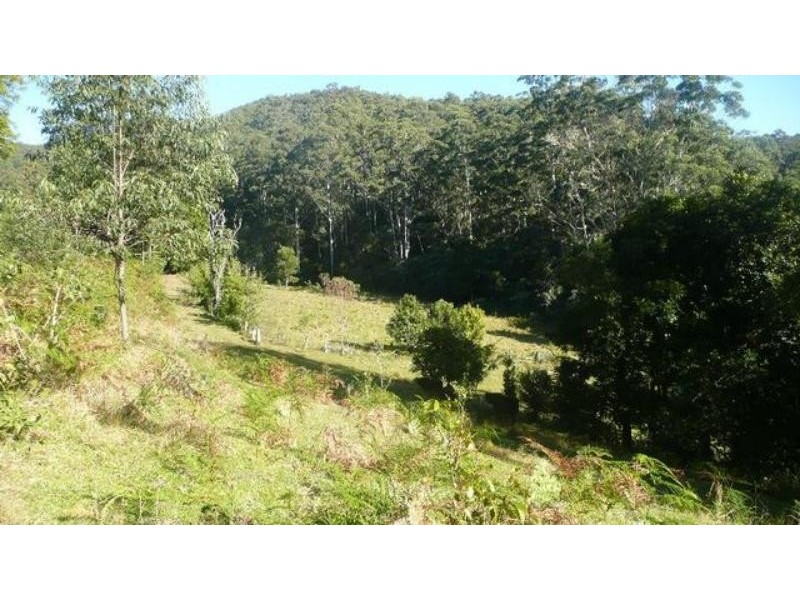 525 Bulli Creek Rd, Byabarra NSW 2446