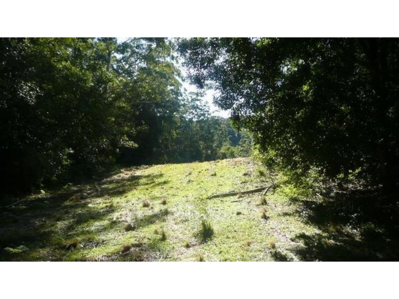 525 Bulli Creek Rd, Byabarra NSW 2446