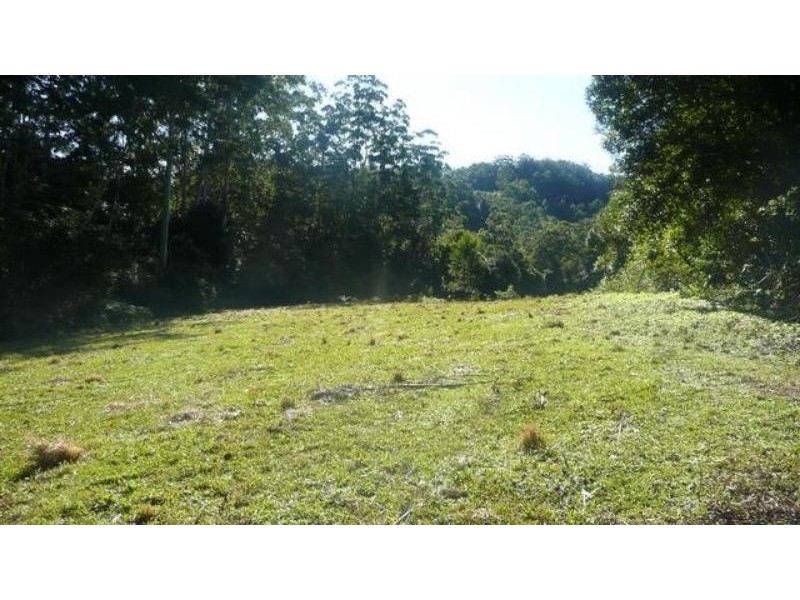 525 Bulli Creek Rd, Byabarra NSW 2446