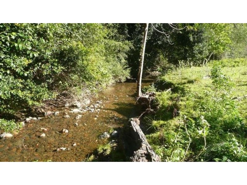 525 Bulli Creek Rd, Byabarra NSW 2446