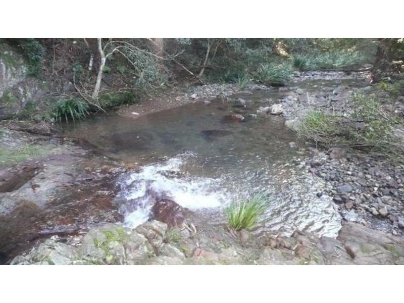 525 Bulli Creek Rd, Byabarra NSW 2446